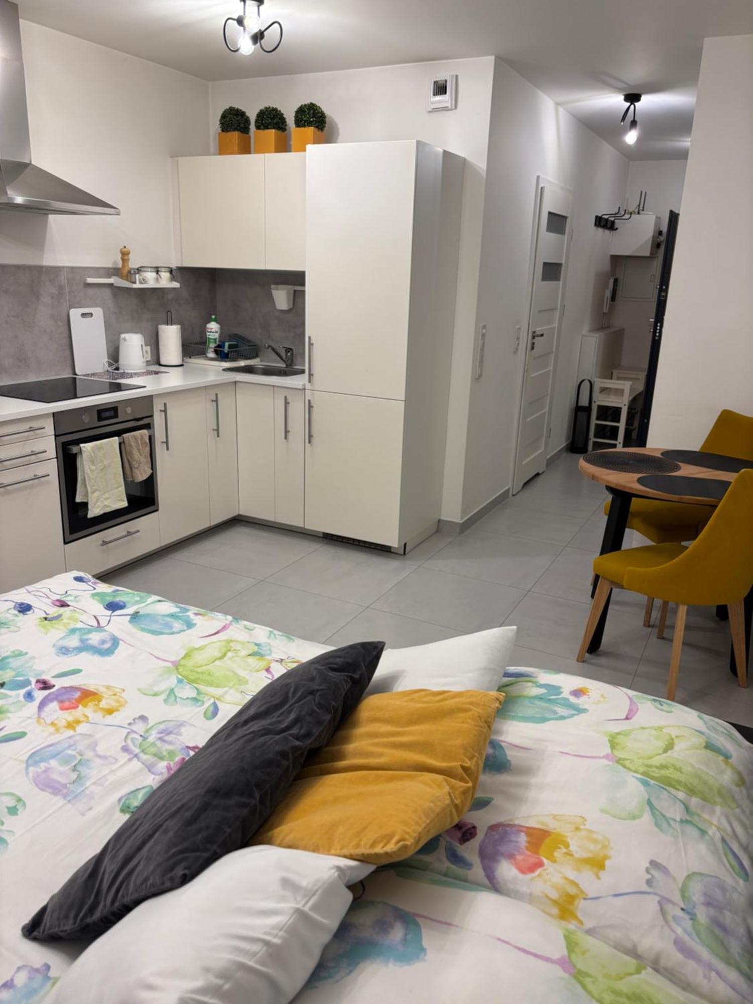 Apartament Slowackiego Park Забже Экстерьер фото
