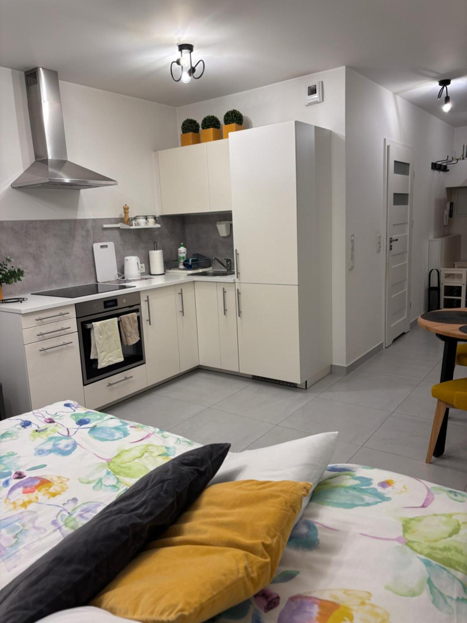 Apartament Slowackiego Park Забже Экстерьер фото